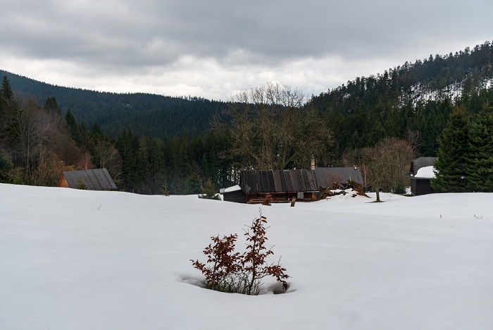 blog-image