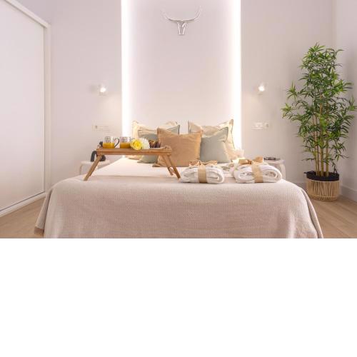 -MalagaSunApts- CityCenter Spacious Studio