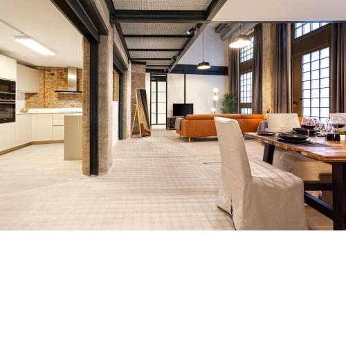 -MalagaSunApts-Industrial Loft CityCentre