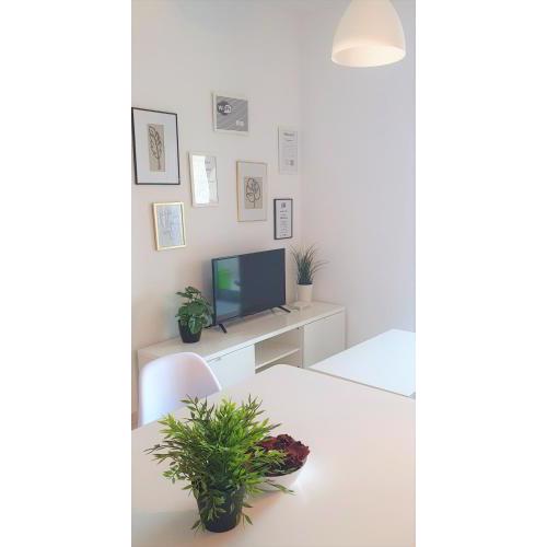 097 Apartamento en el centro con wifi y balcón