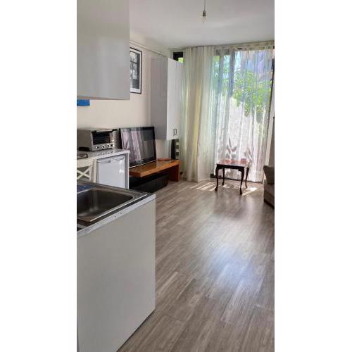 1-bedroom apartment in Besiktas