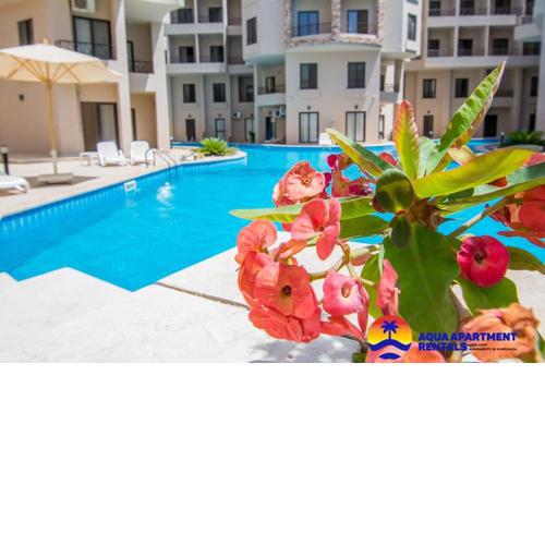1 Bedroom Poolside Apartment B106 Aqua Tropical Resort