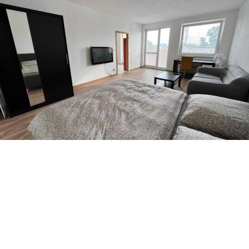 1 room Apartment with balcony, Dolezalova street