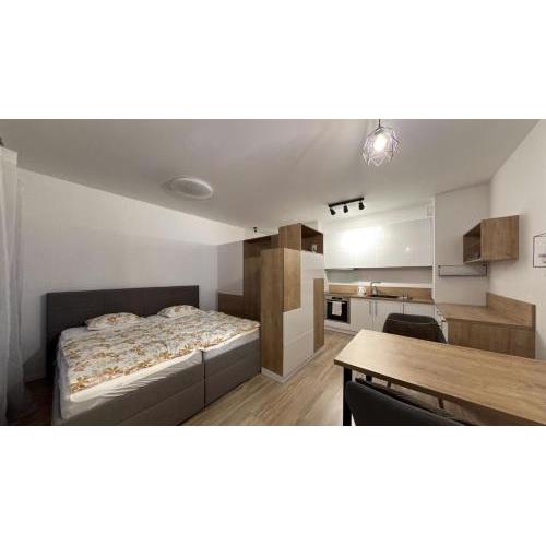 1 room Apartment with terrace, Petržalka