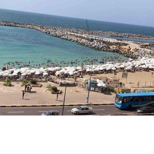 شقه فندقية السرايا14 elshahid Awad hegazy