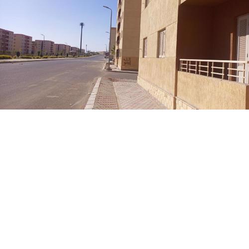 بدر رقم 1 السعر