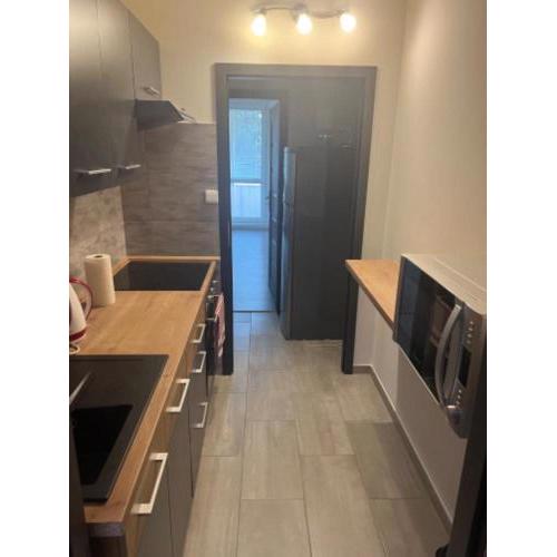 2 bedroom apartment in Přerov