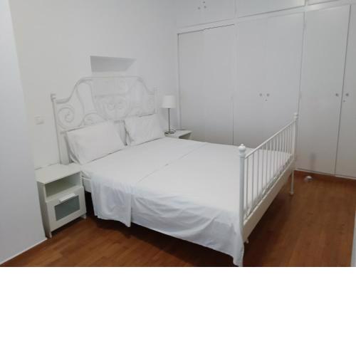 2 bedroom apartment near syntagma