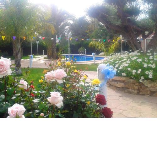 2 bedrooms appartement with shared pool furnished terrace and wifi at Elche 6 km away from the beach