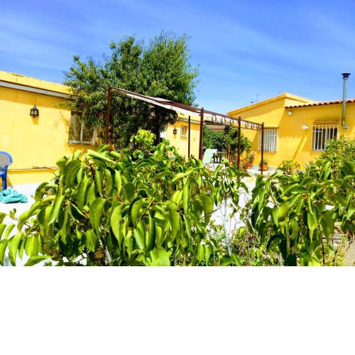 2 cosy holidayhomes near Valencia
