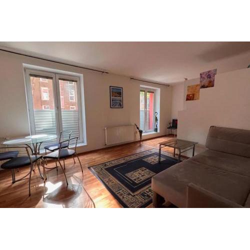 2 room Apartment, near Nivy Centrum