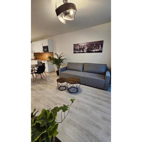 2 room Apartment with terrace, 2AK