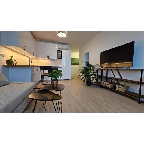 2 room Apartment with terrace, new building, 413