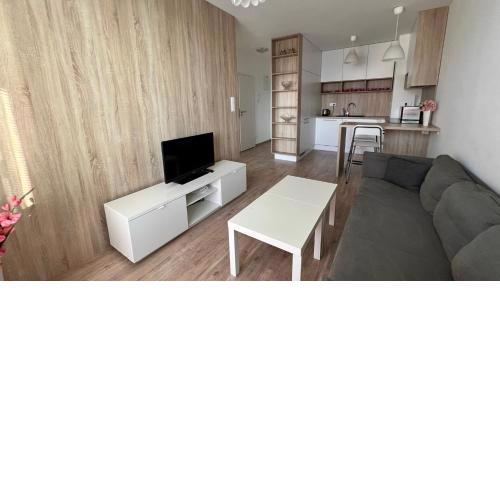 2 room apartment with terrace, Prievozska street