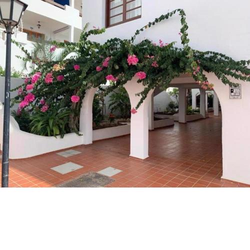 254 Port Royal Sunny Tenerife
