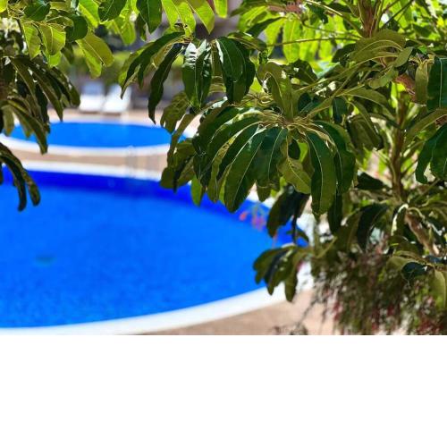 3-bedrooms apartament Vista Roja