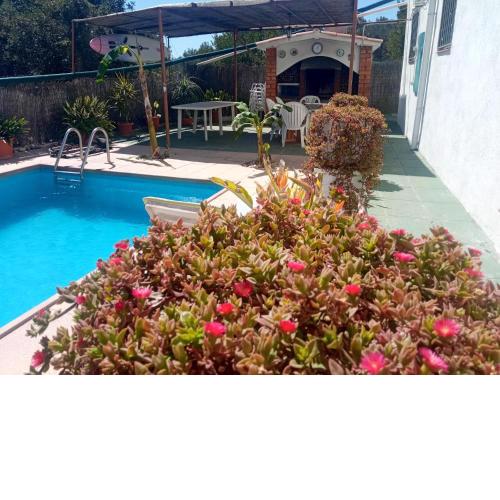 3 bedrooms appartement with sea view private pool and enclosed garden at La Riera de Gaia 4 km away from the beach