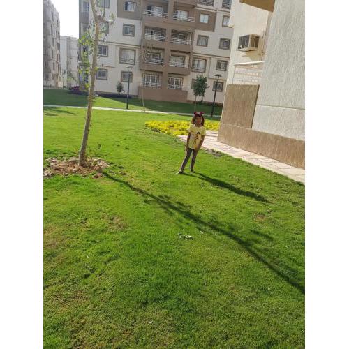 شقه 3غرف للايجار المفروش m6436 01069408173