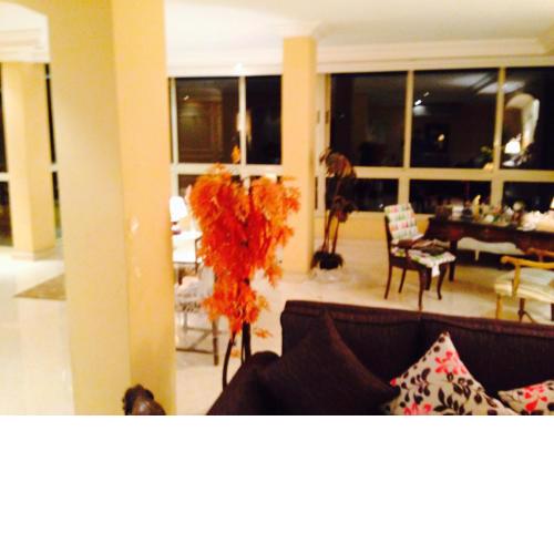 300 sqm2 flat in Cairo