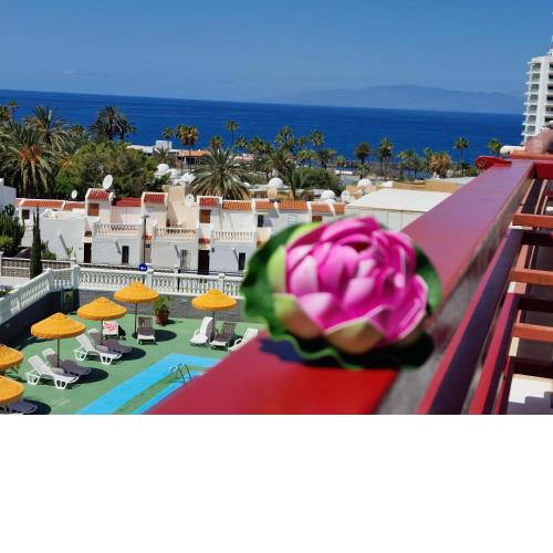 312 Olympia 1 bedroom, Ocean View Wifi free
