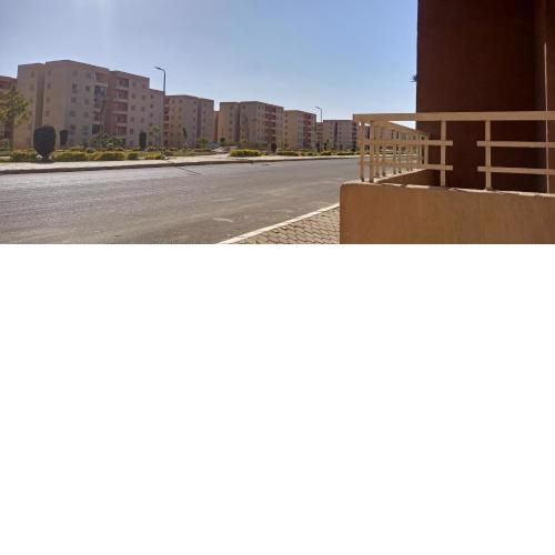 بدر رقم 3 السعر