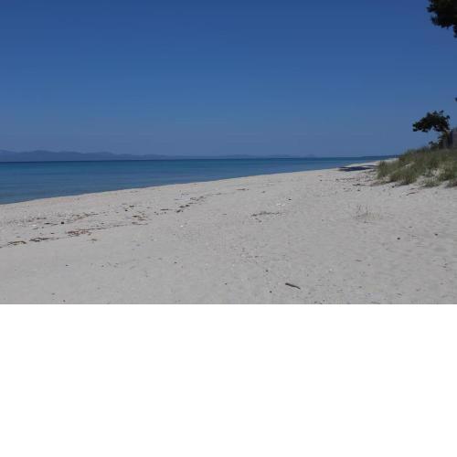 50 metres from the beach