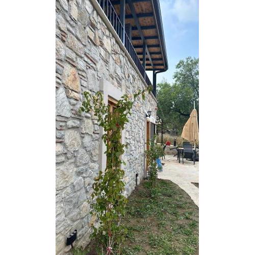 7011 Dadya Rooms
