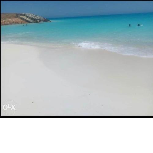 الساحل الشمالي العلمين الجديده قريه اللوتس ع البحر مباشر