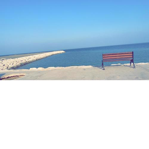الاسكندرية شاطئ النخيل