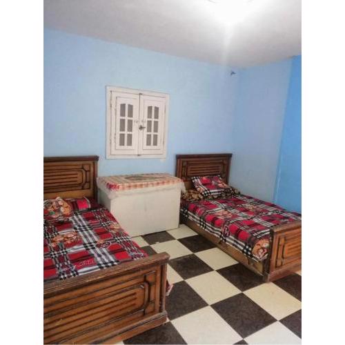 الإسكندرية العجمي الزهراء