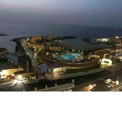 توليب اسكندريه