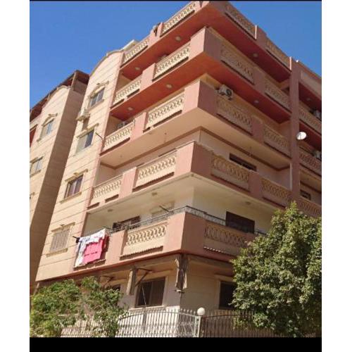 حدائق الاهرام الجميلة