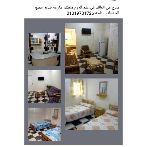 القط للشقق المفروشه