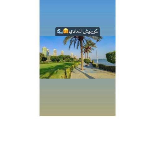 ٢٥ شارع المشتل تقسيم الشيشيني كورنيش المعادي مستشفىالسلام الدولي والنيل بدراوي وجنين