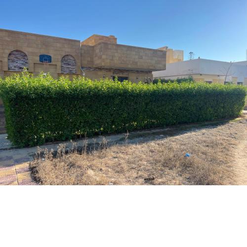 زافيرو المهندسين الجامعيين