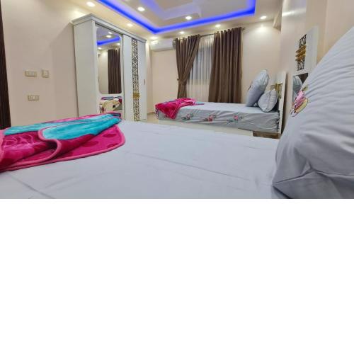 شقق سكنيه فندقيه علي النيل