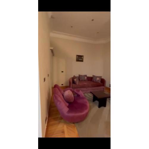 شقه بالمهندسيين