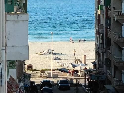 شقة مفروشة بالرووف شاطئ النخيل الإسكندرية