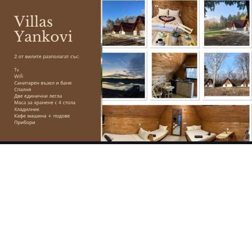 Вили Янкови