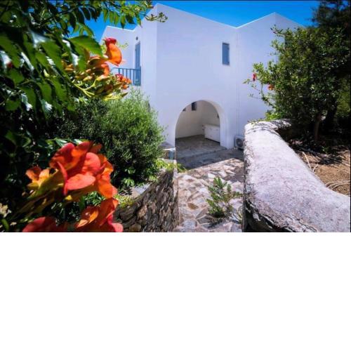 Σερενα
