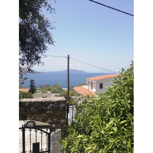 ΕΞΟΧΙΚΗ ΚΑΤΟΙΚΙΑ