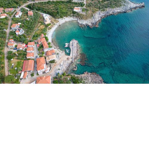 Κοχύλι