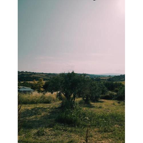 ΚΛΕΟΠΑΤΡΑ