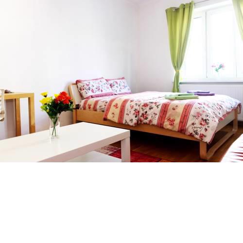 a beautiful, big and cozy rooms in the city center