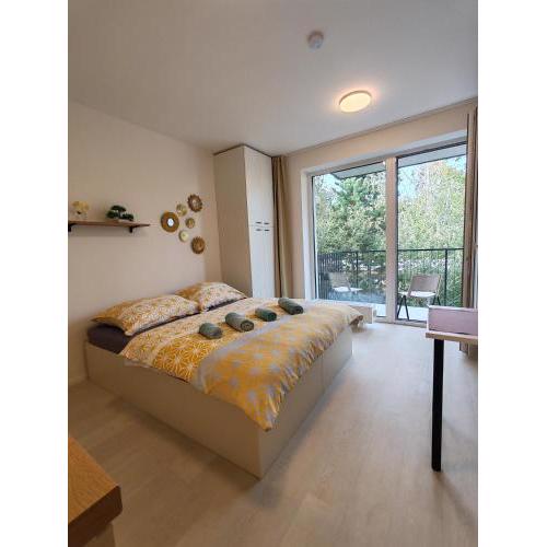 A Star Apartment Brno with Terrace
