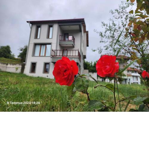 ABANT VİLLALARI BOLU
