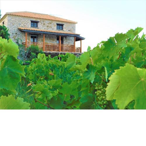 Abeloklima country house