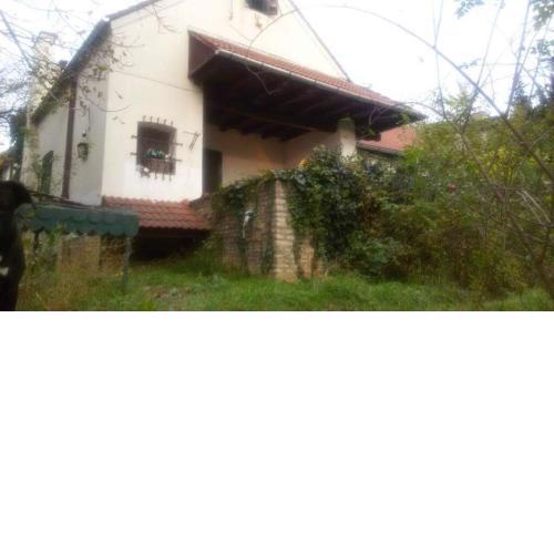 ACE INVESTMENTS LTD