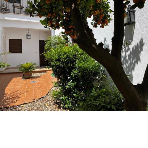 Acogedor apartamento junto a plaza de San Agustin