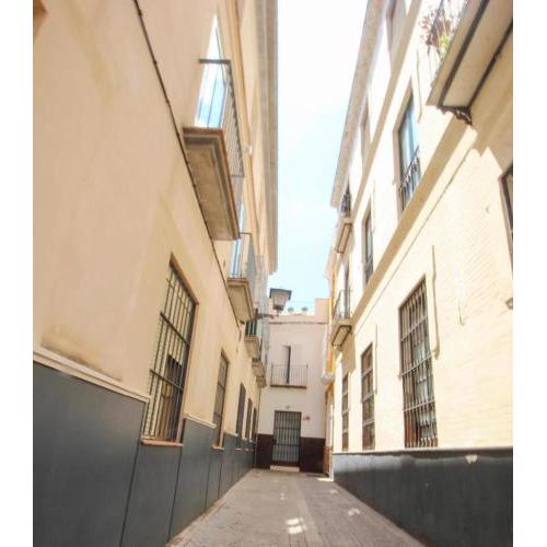 Acogedor estudio en el centro de Sevilla